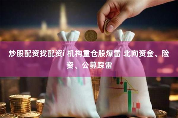 炒股配资找配资i 机构重仓股爆雷 北向资金、险资、公募踩雷