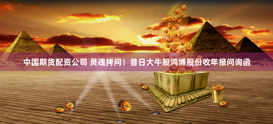 中国期货配资公司 灵魂拷问！昔日大牛股鸿博股份收年报问询函