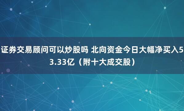 证券交易顾问可以炒股吗 北向资金今日大幅净买入53.33亿（附十大成交股）