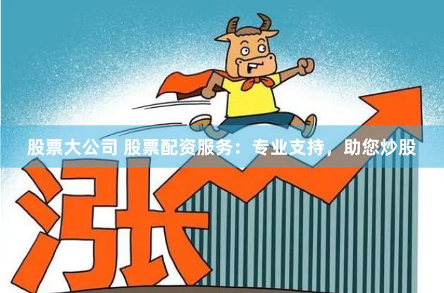 股票大公司 股票配资服务：专业支持，助您炒股