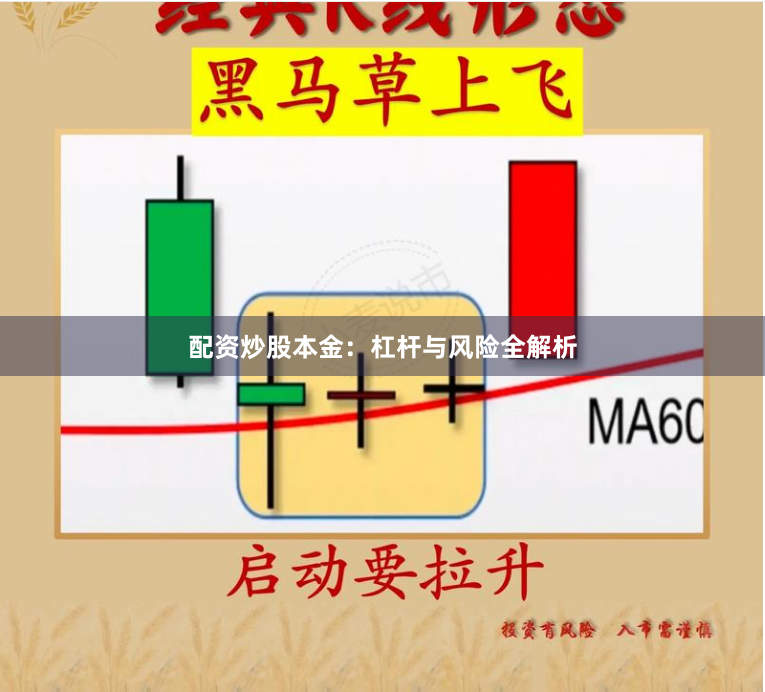 配资炒股本金:杠杆与风险全解析